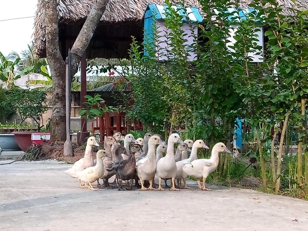 Thach Thao Homestay My Tho Exteriér fotografie
