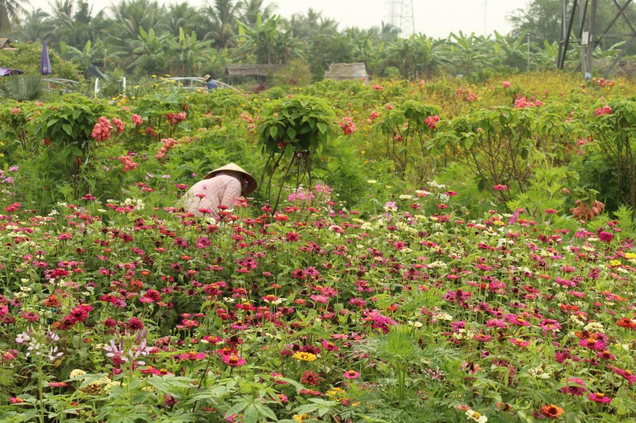 Thach Thao Homestay My Tho Exteriér fotografie