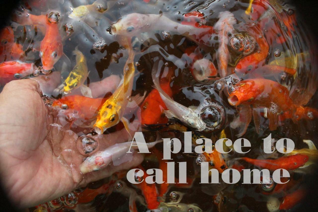 Thach Thao Homestay My Tho Exteriér fotografie