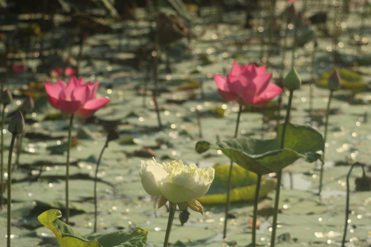 Thach Thao Homestay My Tho Exteriér fotografie