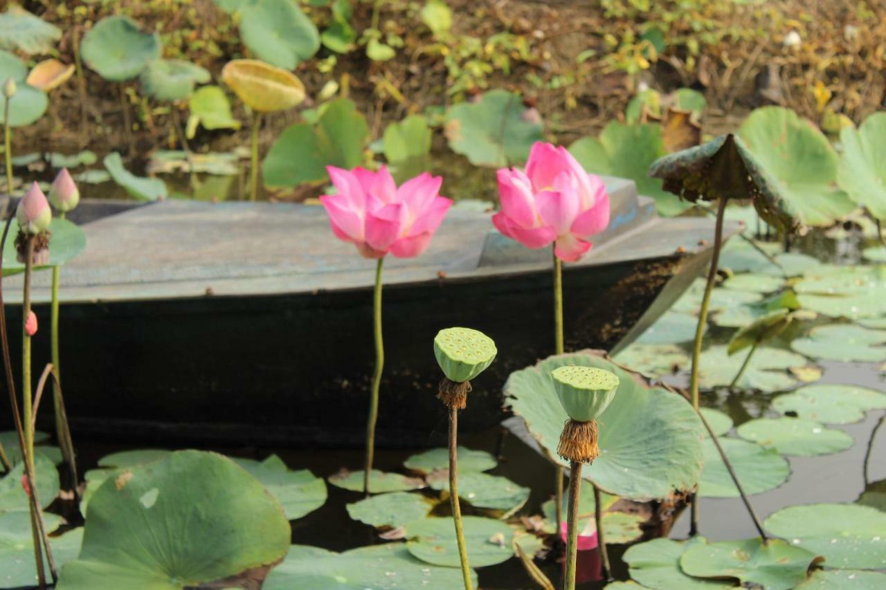 Thach Thao Homestay My Tho Exteriér fotografie